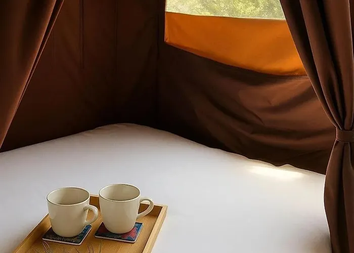 3 Etoiles - Piscine - Ccbeegd *