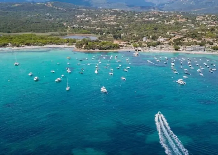 Campsite 3 Etoiles - Piscine - Ccbeegd Porto-Vecchio (Corsica)